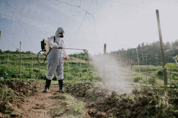 Best Best Pest Control Companies  in Piketon, OH