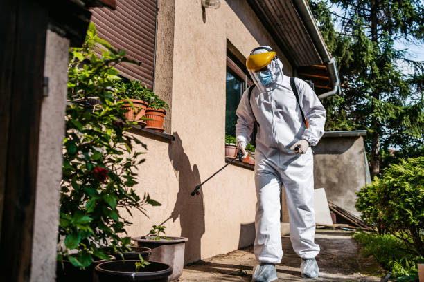 Flea Control Services in Piketon, OH