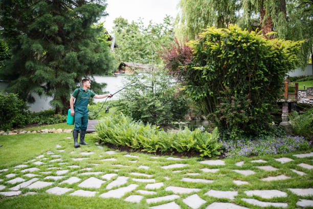 Best Residential Pest Control  in Piketon, OH