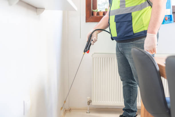 Best Flea Control Services  in Piketon, OH